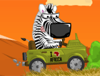 Safari Zamanı - Ormanın kahraman zebrası binmiş arabaya afrika açıklarında safari yapıyor