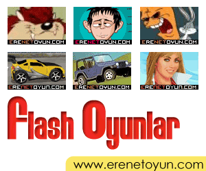Flash oyunlar
